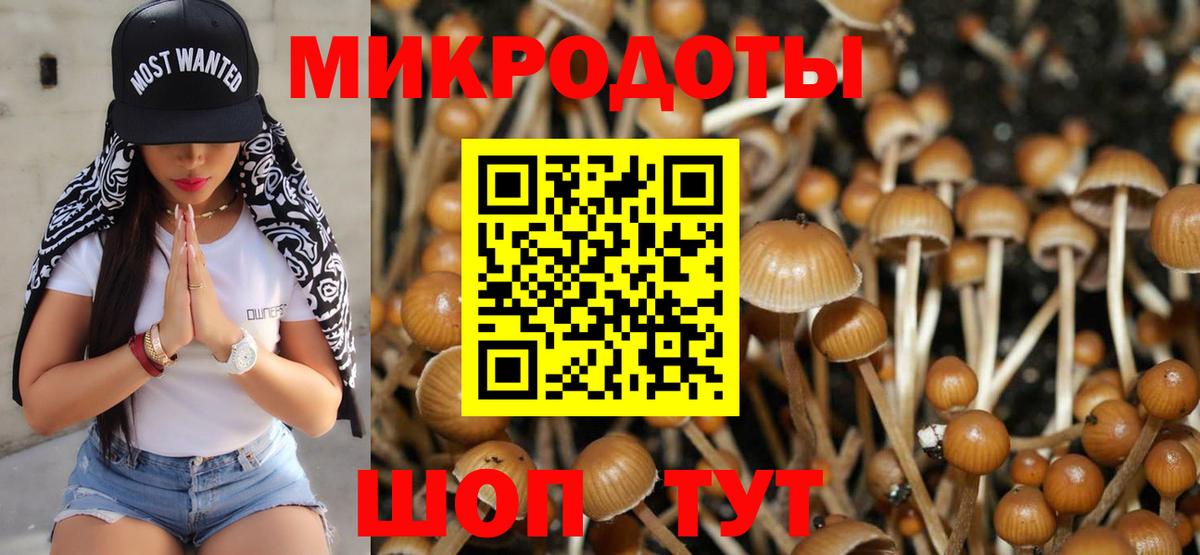 Галлюциногенные грибы прущие грибы Бердск