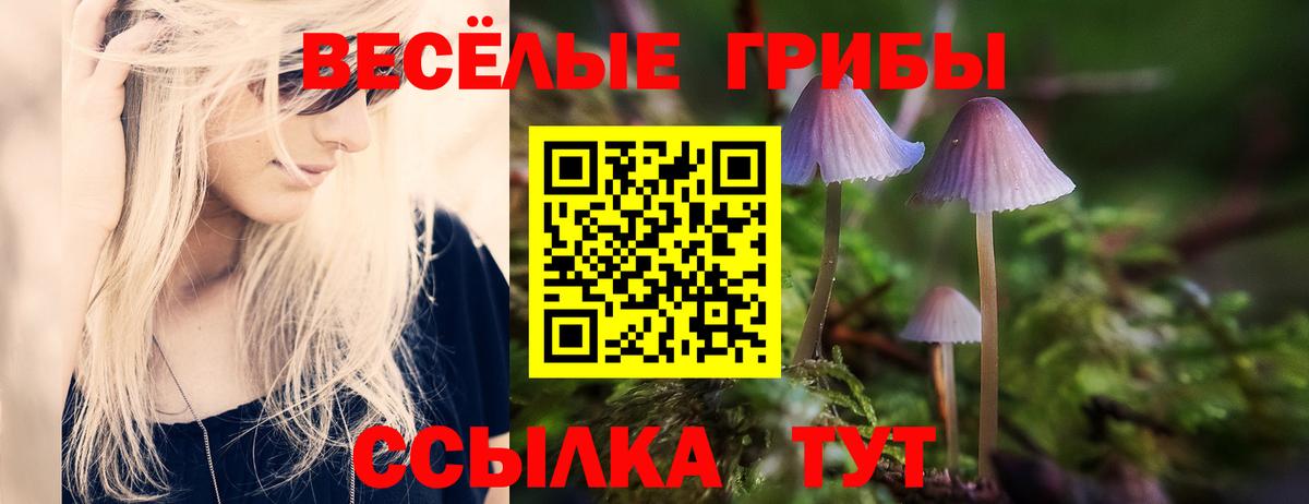 Бердск  Галлюциногенные грибы прущие грибы  дарнет шоп  Вход с VPN 